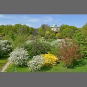 Warszawa, park Arkadia