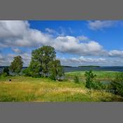 Jezioro Śniardwy-Szeroki Ostrów