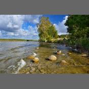 Mazury