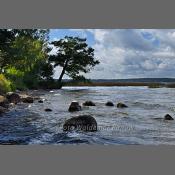 Mazury