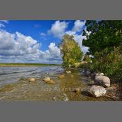 Mazury