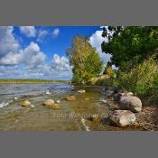 Mazury