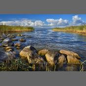 Mazury