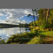 Mazury