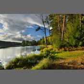 Mazury