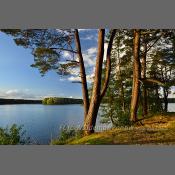 Mazury