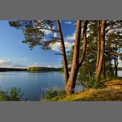 Mazury