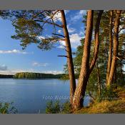 Mazury