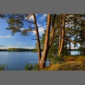 Mazury