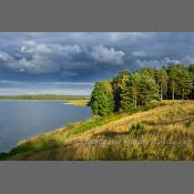 Mazury