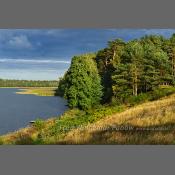 Mazury