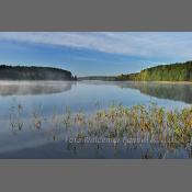 Mazury