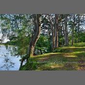 Mazury