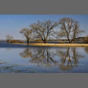 Rzeka Narew na Podlasiu