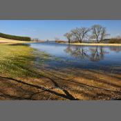 Rzeka Narew na Podlasiu