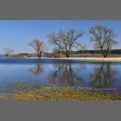 Rzeka Narew na Podlasiu