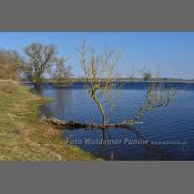 Rzeka Narew na Podlasiu