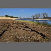 Rzeka Narew na Podlasiu