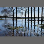 Rzeka Narew na Podlasiu