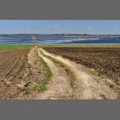 Rzeka Narew na Podlasiu