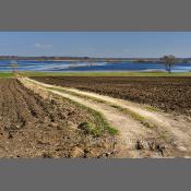 Rzeka Narew na Podlasiu