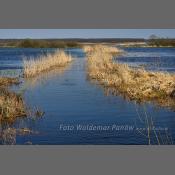 Rzeka Narew na Podlasiu