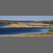 Rzeka Narew na Podlasiu