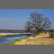 Rzeka Narew na Podlasiu