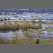 Rzeka Narew na Podlasiu