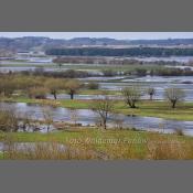 Rzeka Narew na Podlasiu