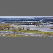 Rzeka Narew na Podlasiu