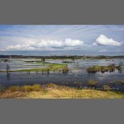 Rzeka Narew na Podlasiu