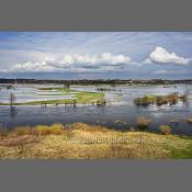 Rzeka Narew na Podlasiu