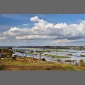 Rzeka Narew na Podlasiu