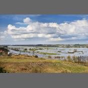 Rzeka Narew na Podlasiu