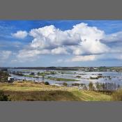 Rzeka Narew na Podlasiu