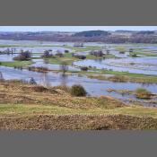 Rzeka Narew na Podlasiu