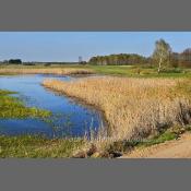 Rzeka Narew na Podlasiu