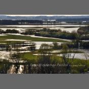 Rzeka Narew na Podlasiu