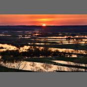 Rzeka Narew na Podlasiu