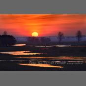 Rzeka Narew na Podlasiu