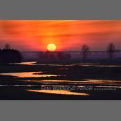 Rzeka Narew na Podlasiu