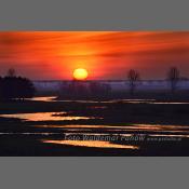 Rzeka Narew na Podlasiu