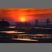 Rzeka Narew na Podlasiu