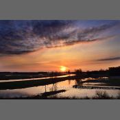 Rzeka Narew na Podlasiu