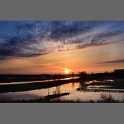 Rzeka Narew na Podlasiu