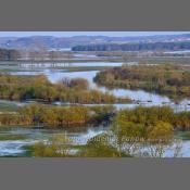 Rzeka Narew na Podlasiu