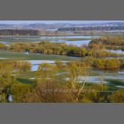 Rzeka Narew na Podlasiu