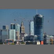 Warszawa, Panorama z Woli