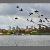 Warszawa, panorama z Pragi